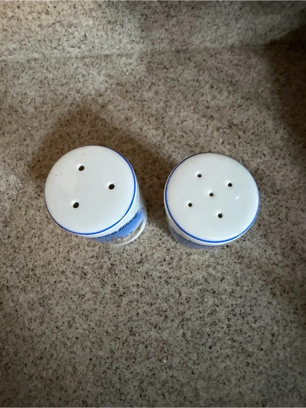 Walt Disney World Salt & Pepper Shakers
